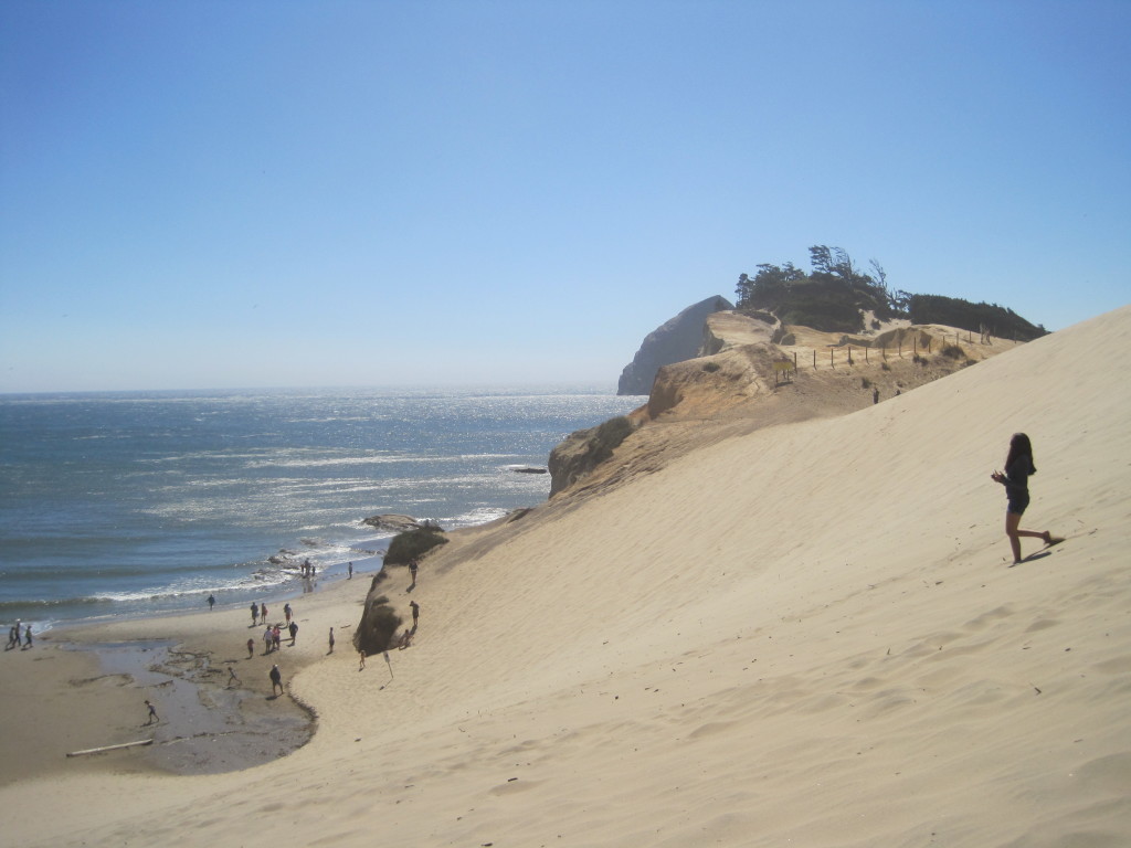Pacific City dune