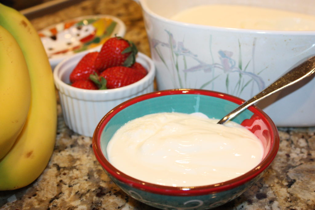 Homemade Yogurt in a Crock Pot